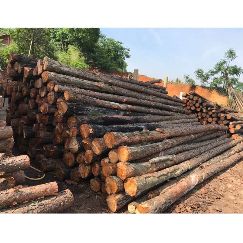 松木樁使用注意事項(xiàng)有哪些？