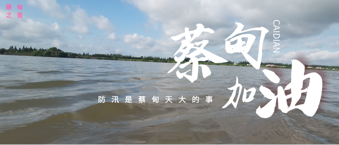 蔡甸區(qū)啟動防汛ⅰ級應(yīng)急響應(yīng)，做好鋪土釘防汛木樁工作