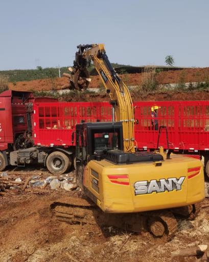 松木原木、松木條，漲勢如虹，現(xiàn)在搶購最劃算(附松木原木供應(yīng)廠家介紹)