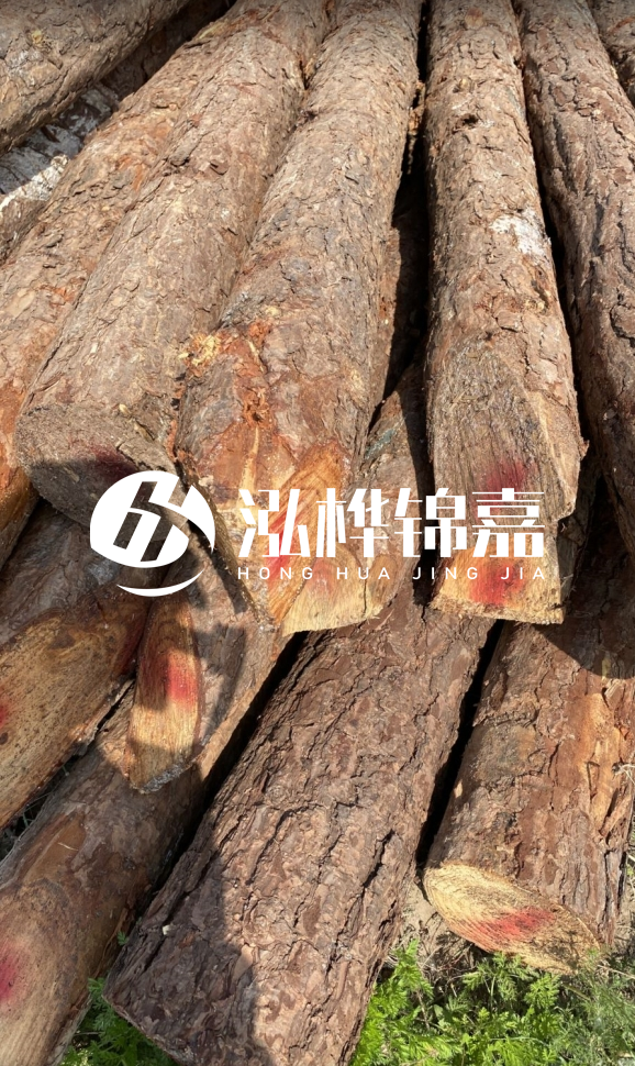 <strong>松木樁和杉木樁的用途區(qū)別？哪個(gè)更適合打樁用？</strong>