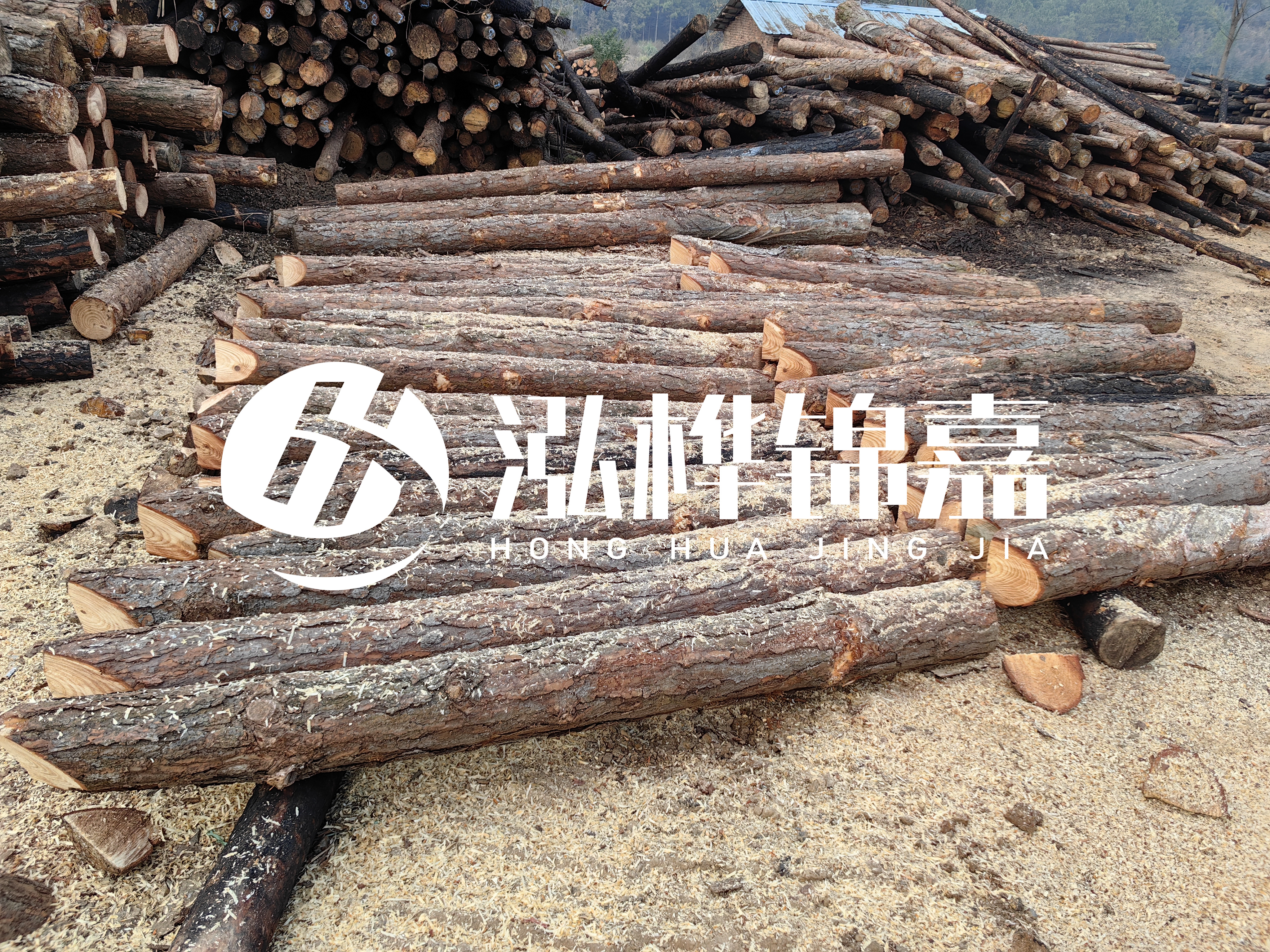 河道打樁木重復(fù)利用嗎？