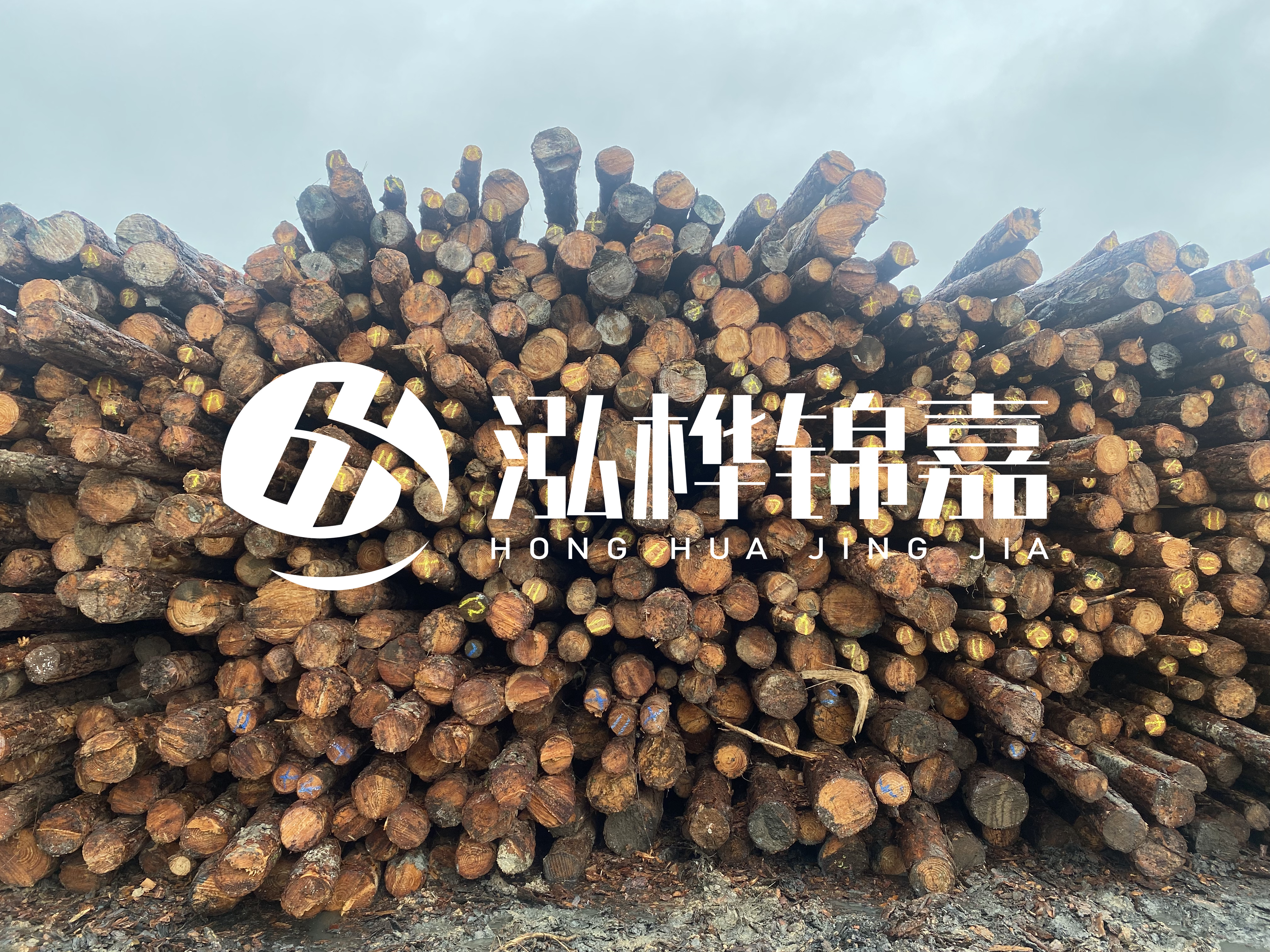 松木樁的直徑一般取多少？