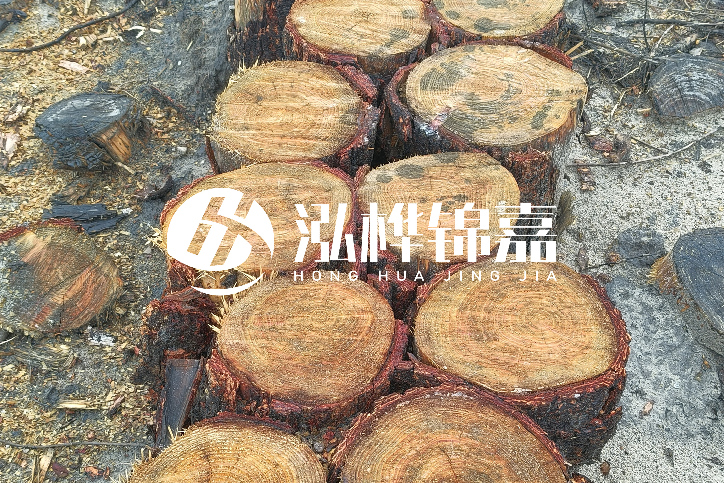 浙江臺州有清淤的公司嗎？浙江臺州有清淤施工隊(duì)嗎？