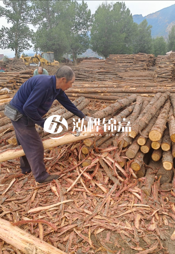 東營(yíng)河道清淤專業(yè)施工隊(duì)-不同型號(hào)挖機(jī)清淤能力對(duì)比？