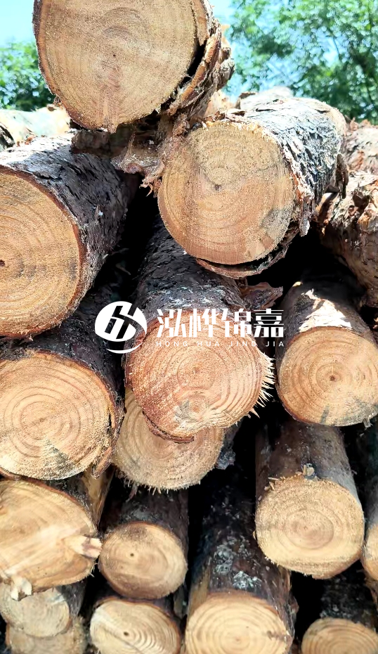 周口挖機(jī)打木樁專業(yè)施工-杉木樁施工打樁怎么打？