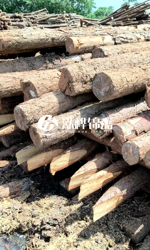 荊門挖機(jī)打木樁專業(yè)施工-河道打木樁前是否要清理河道底部雜物？