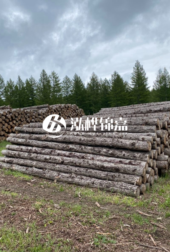 長(zhǎng)沙松木樁源頭廠家-如何甄別松木樁打樁木的質(zhì)量好壞？