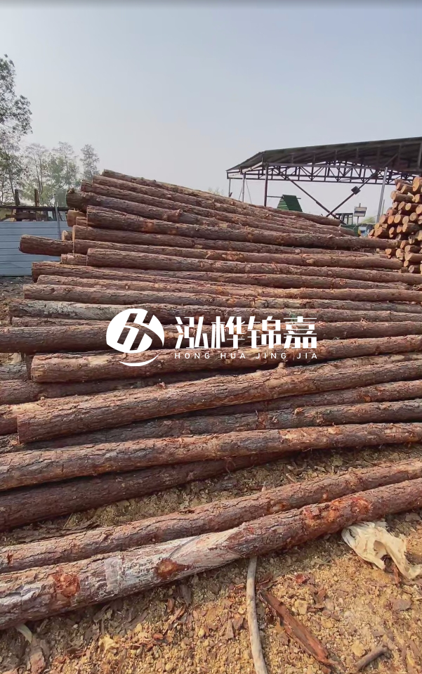 岳陽(yáng)松木樁源頭廠家-河道木樁護(hù)岸能否抵御洪水沖擊？