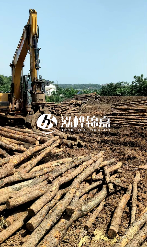 江門松木樁源頭廠家-河道木樁的防腐處理有哪些方法？