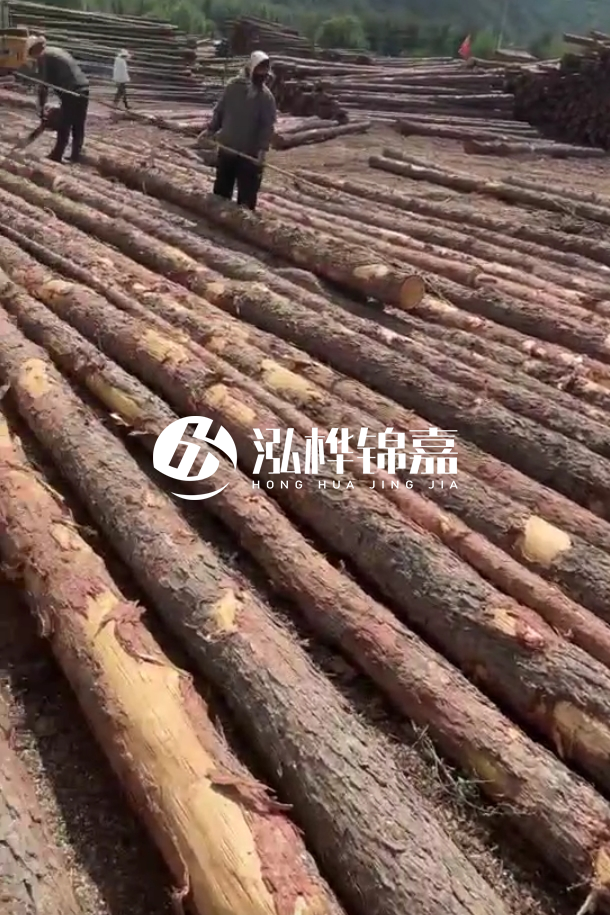 ?？谒赡緲对搭^廠家-松木樁最長可以做多少米？