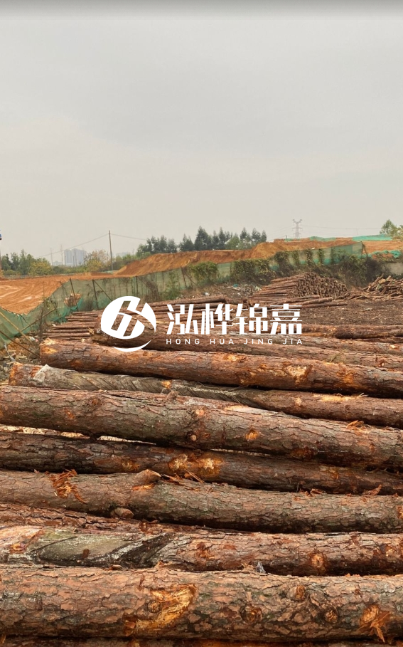 攀枝花松木樁源頭廠家-河道松木樁廠家聯(lián)系方式？