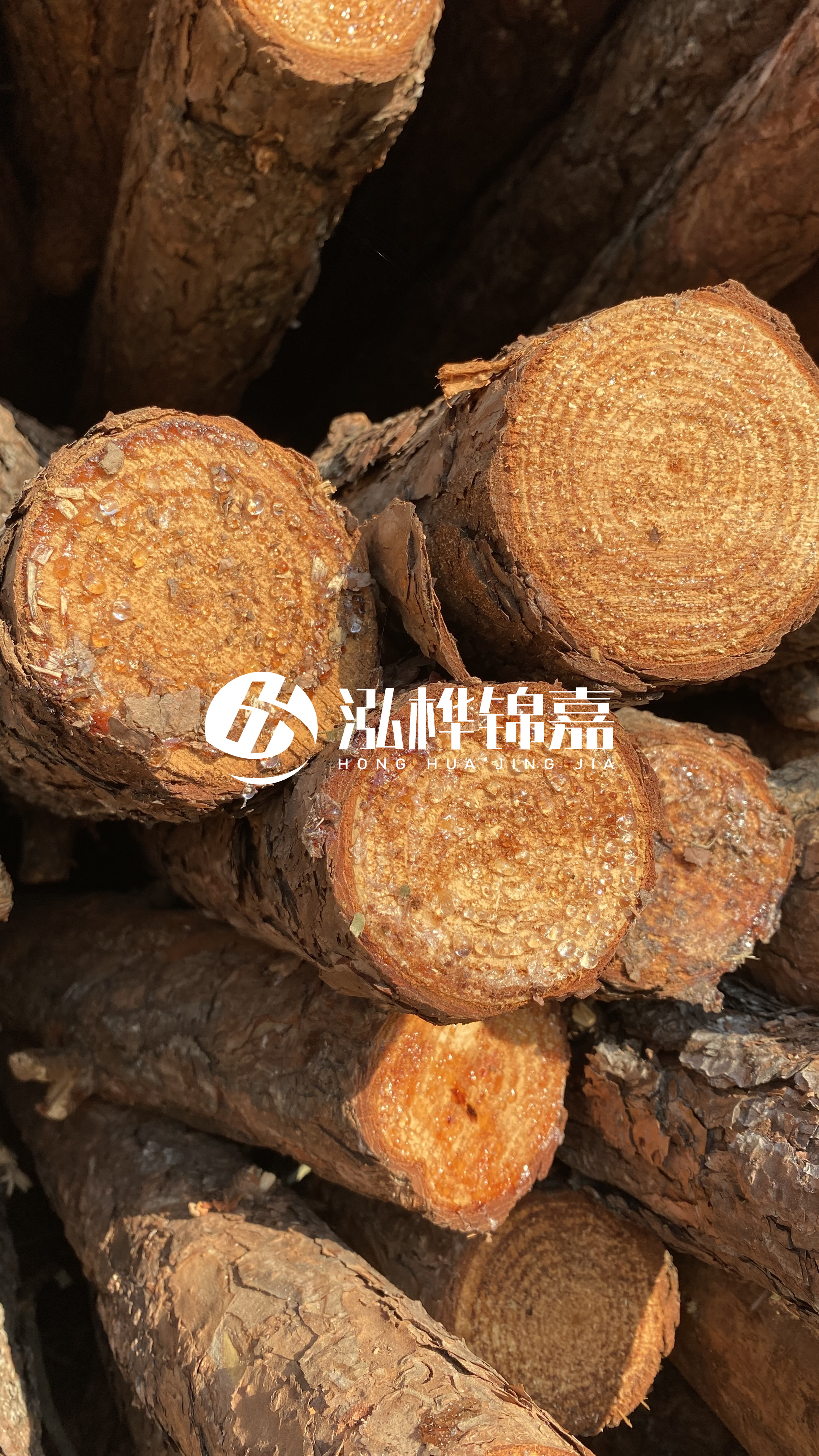 南充松木樁源頭廠家-木樁護(hù)坡優(yōu)缺點(diǎn)有哪些？