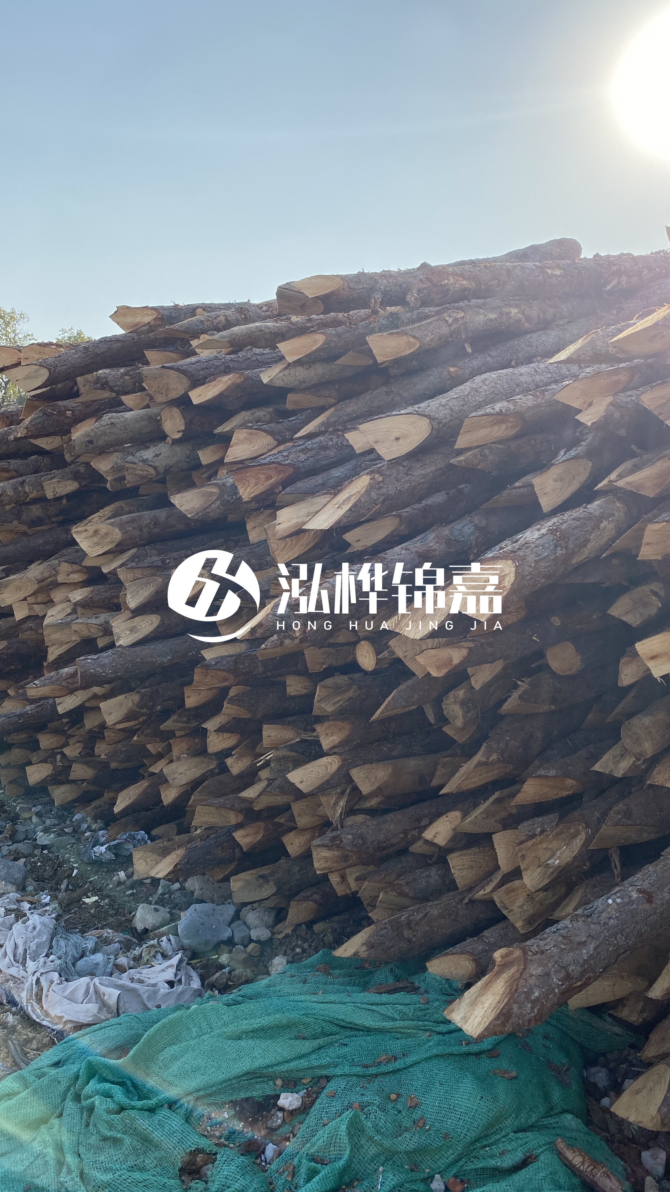 巴中松木樁源頭廠家-原木打樁木是否適合所有地質(zhì)條件？