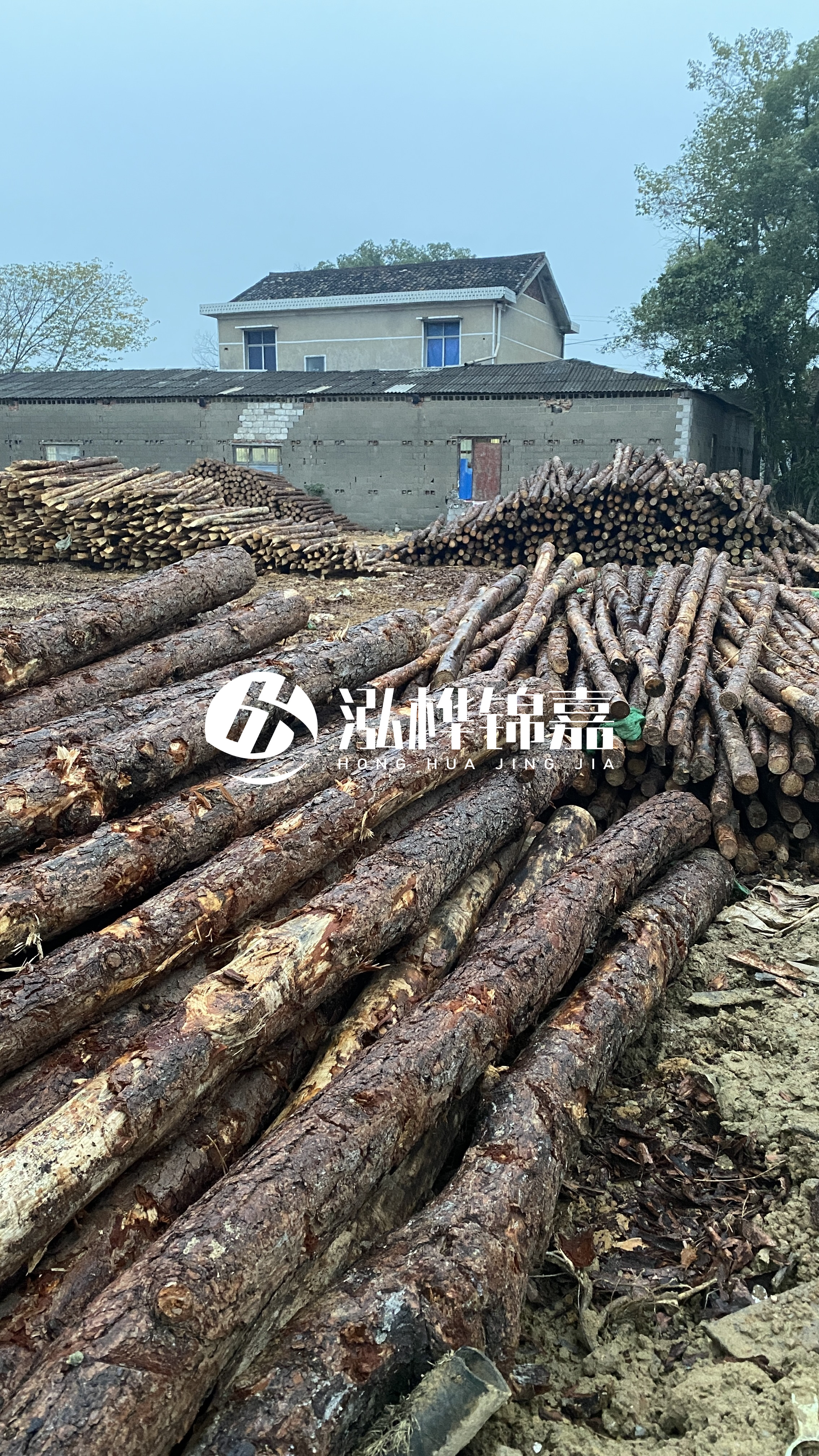 臨滄松木樁源頭廠家-油松打樁木的儲(chǔ)存條件有哪些要求？