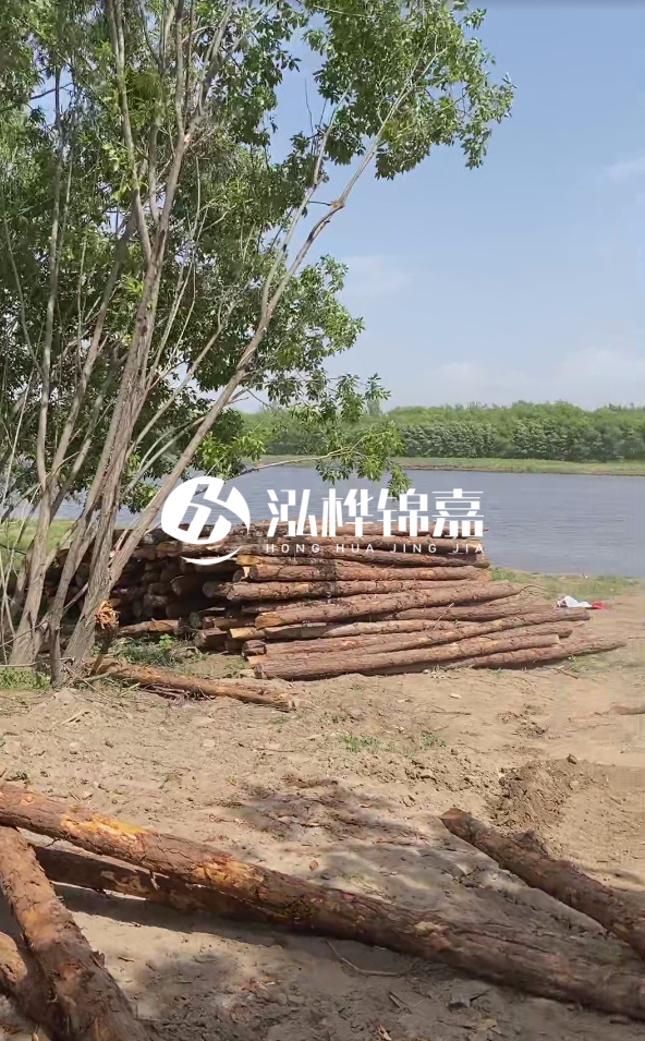 慶陽(yáng)挖機(jī)打木樁專業(yè)施工-松木打樁過(guò)程中如何避免木材開裂？