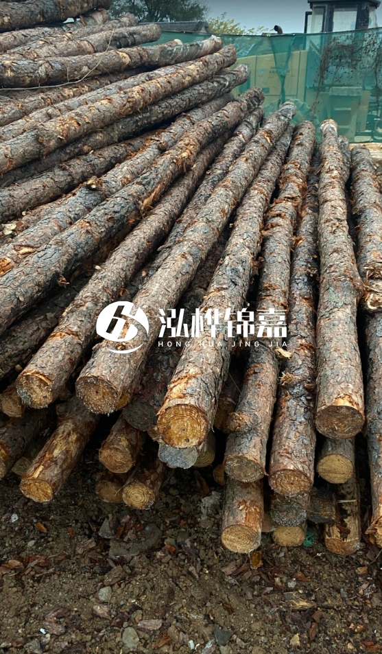 徐州松木樁批發(fā)源頭廠家-松木樁需要做防腐嗎？