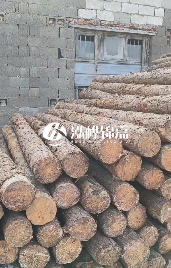 2025最新松木樁價(jià)格揭秘：松木樁一方到底多少錢？