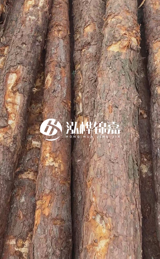 浙江地區(qū)大量供應(yīng)松木樁，源頭廠家在哪里？