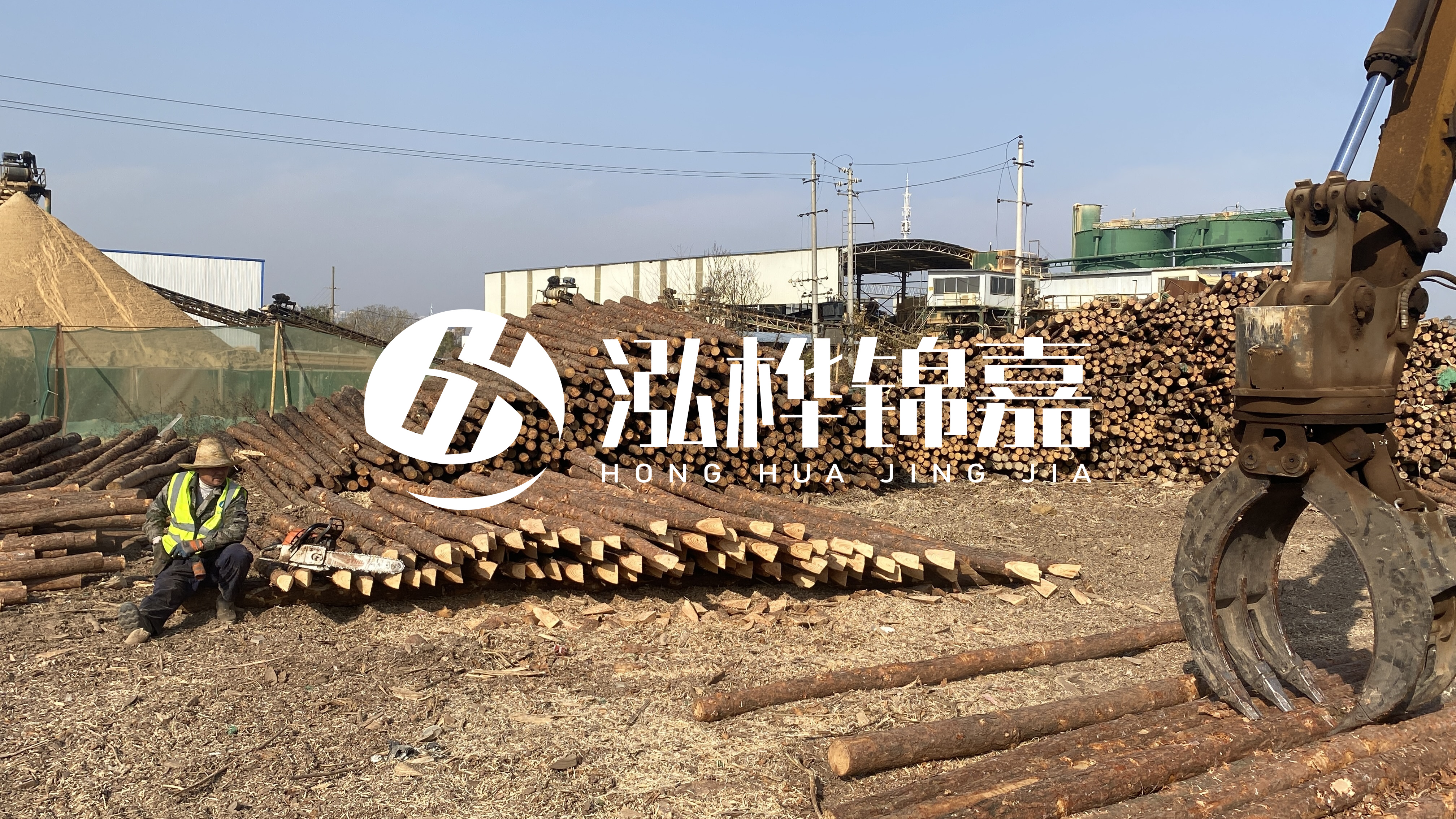 河道木材松木樁怎么選？松木樁源頭廠家告訴你！