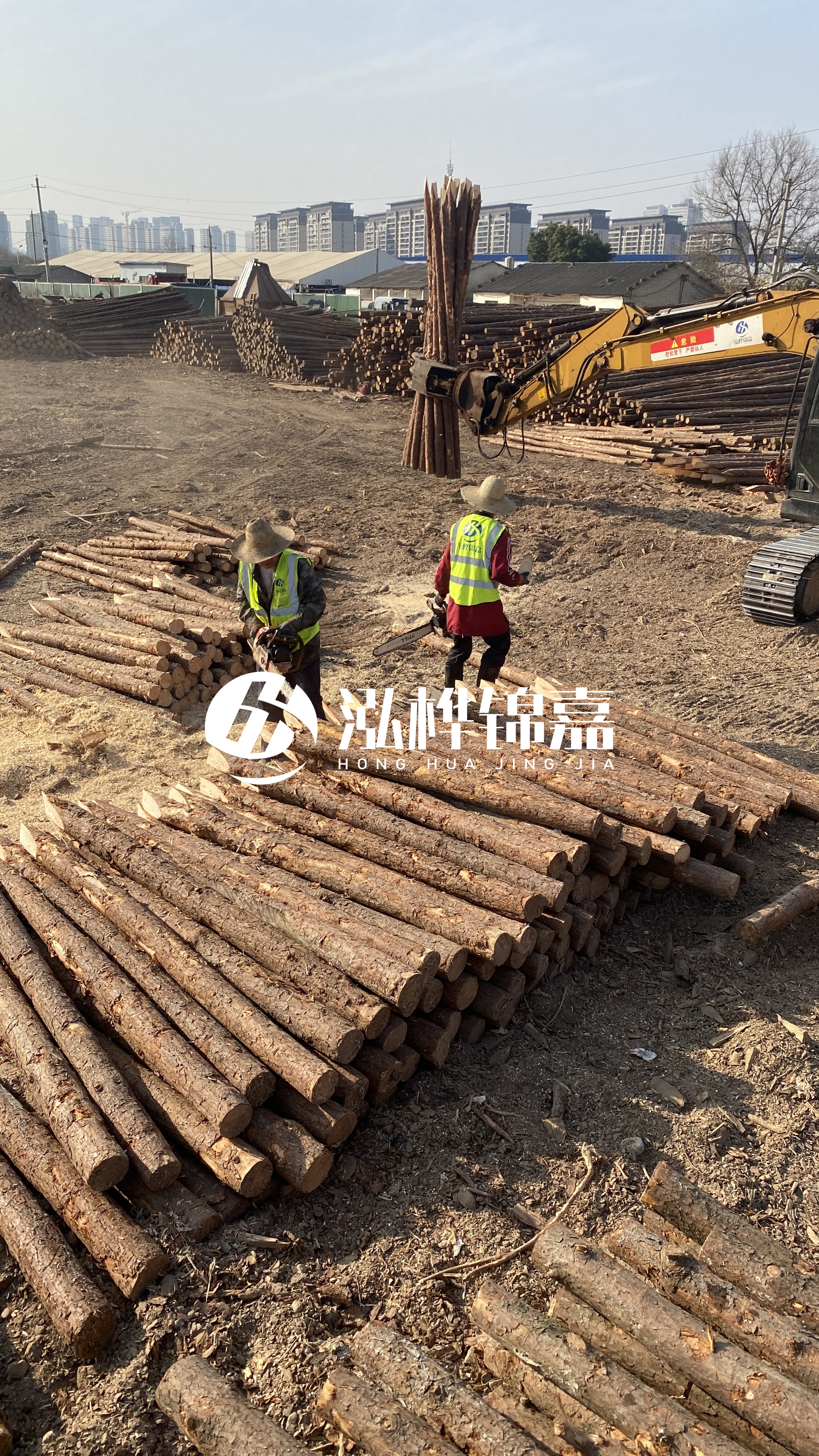 松木樁梢徑怎么測量？實(shí)用教程！一文教會(huì)你！