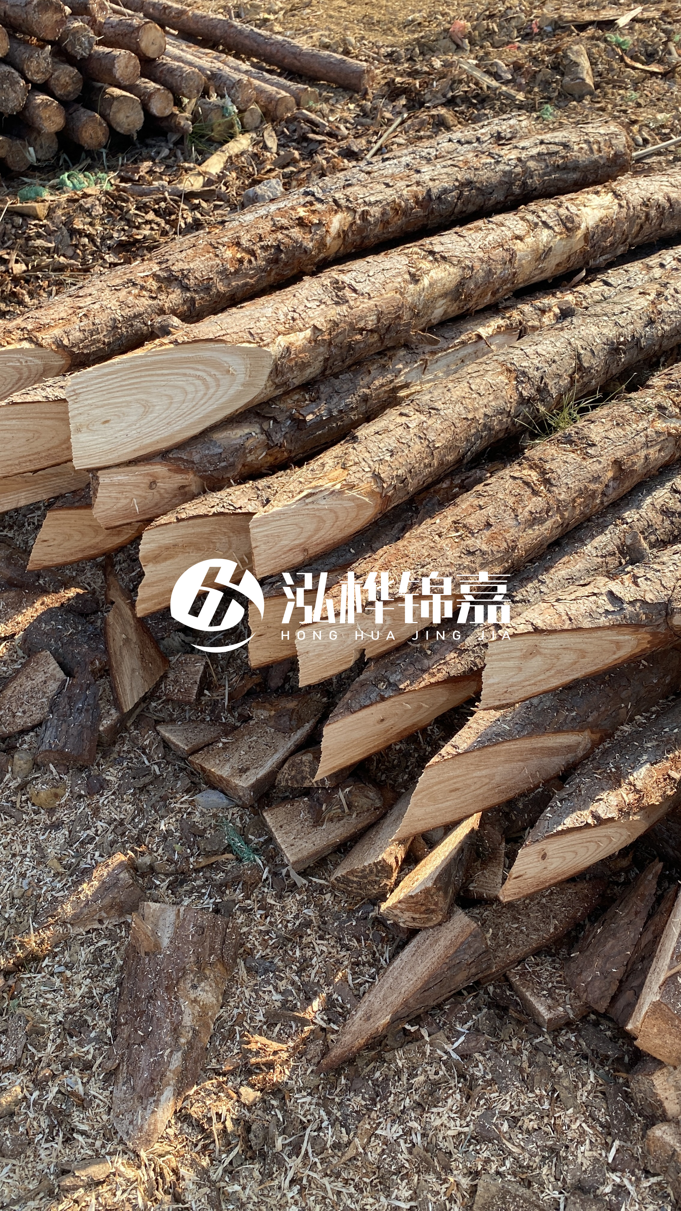 3米8公分松木樁價(jià)格是多少？市場(chǎng)最新報(bào)價(jià)大公開！