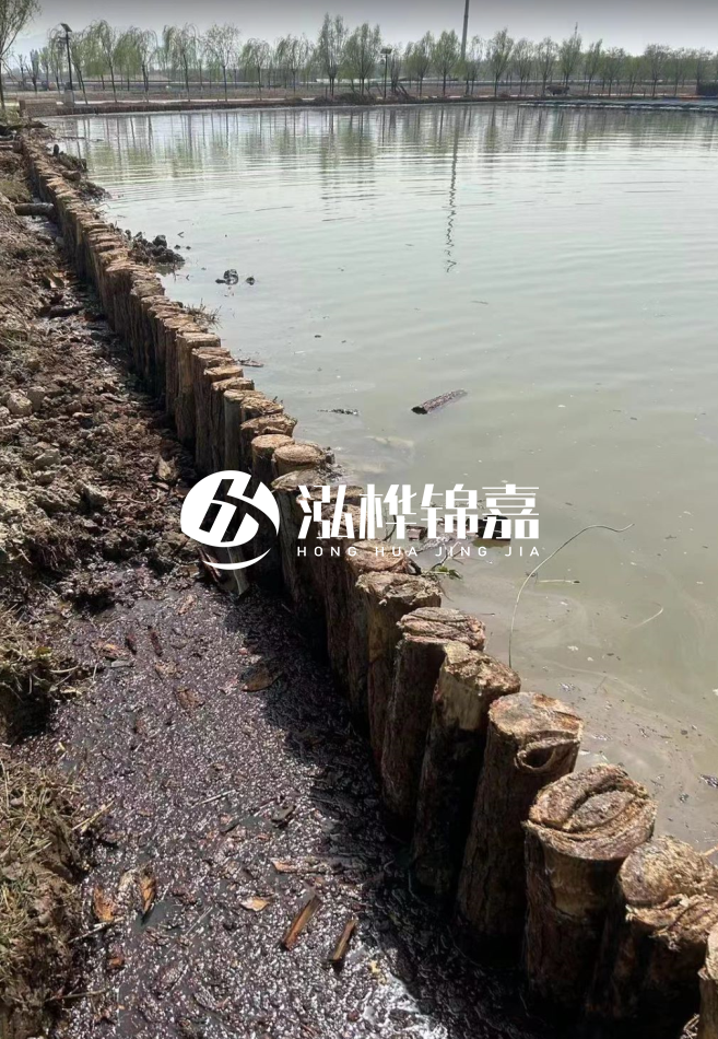 松木樁為什么要一根一根挨著打？秘密在這里！看完恍然大悟！