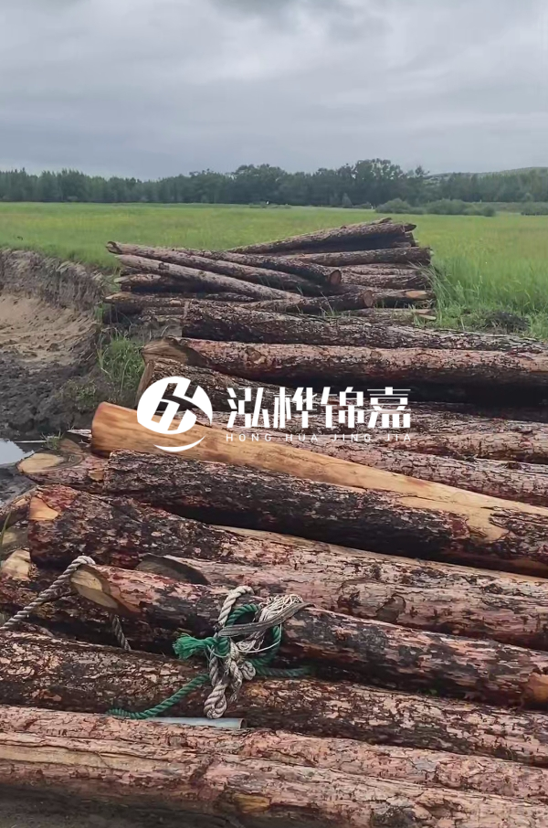 打樁木樁的選購標(biāo)準(zhǔn)是什么？材質(zhì)、尺寸與強(qiáng)度，哪些標(biāo)準(zhǔn)不能忽視？