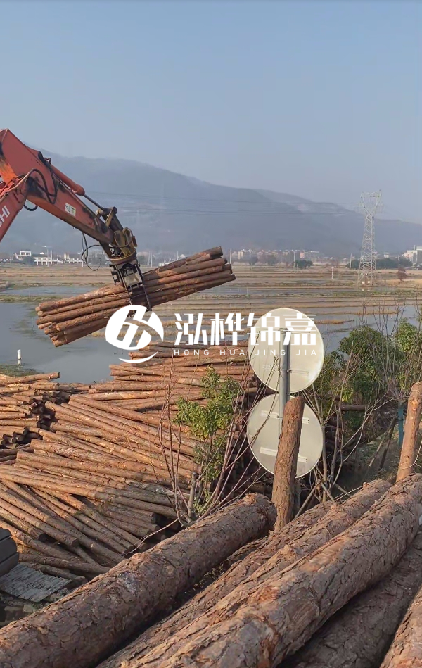 松木樁是否需要削皮呢？松木樁為什么不會(huì)爛掉呢？