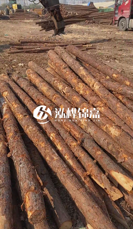 4.5米松木樁直徑14一根多少錢(qián)？5米14厘米多少錢(qián)？