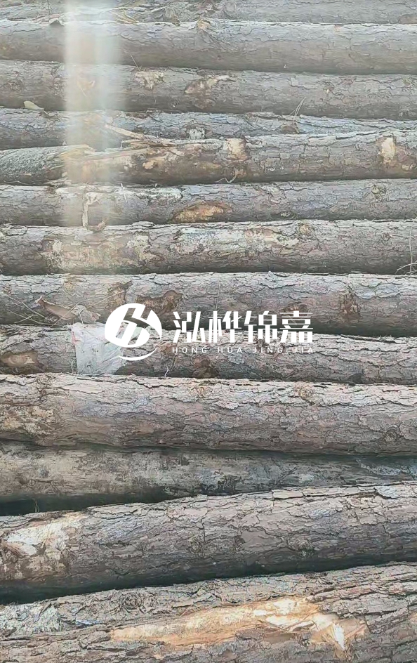 松木樁5米100mm一根多少錢-5米140mm多少錢？