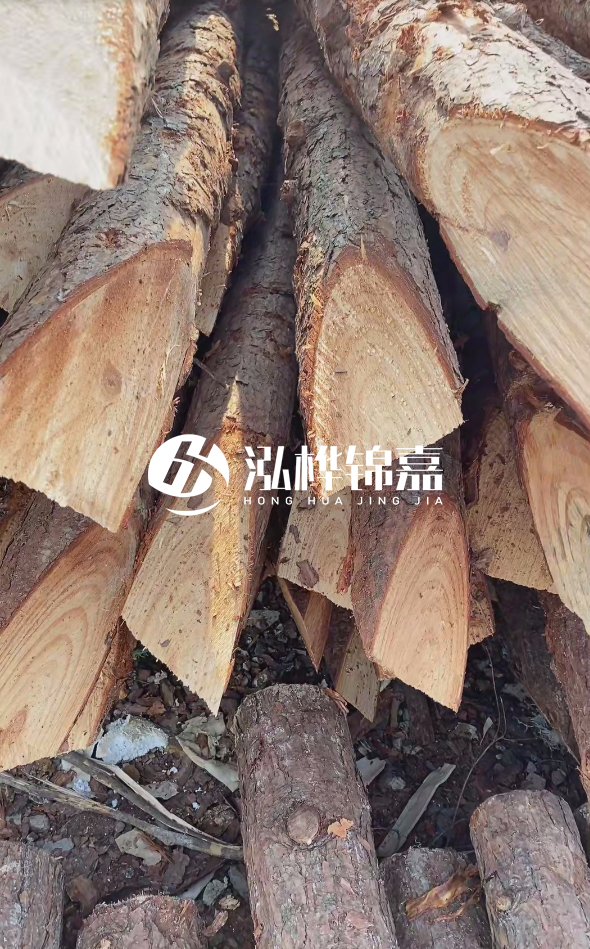 3米杉木樁梢頭12大頭多少？賣多少錢一根？