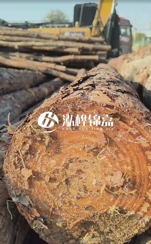 杉木樁價(jià)格多少錢一方-3米直徑14公分杉木樁價(jià)格？