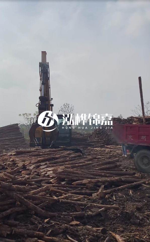 6米打樁木多少錢一根-6米10-15公分價(jià)格是多少？