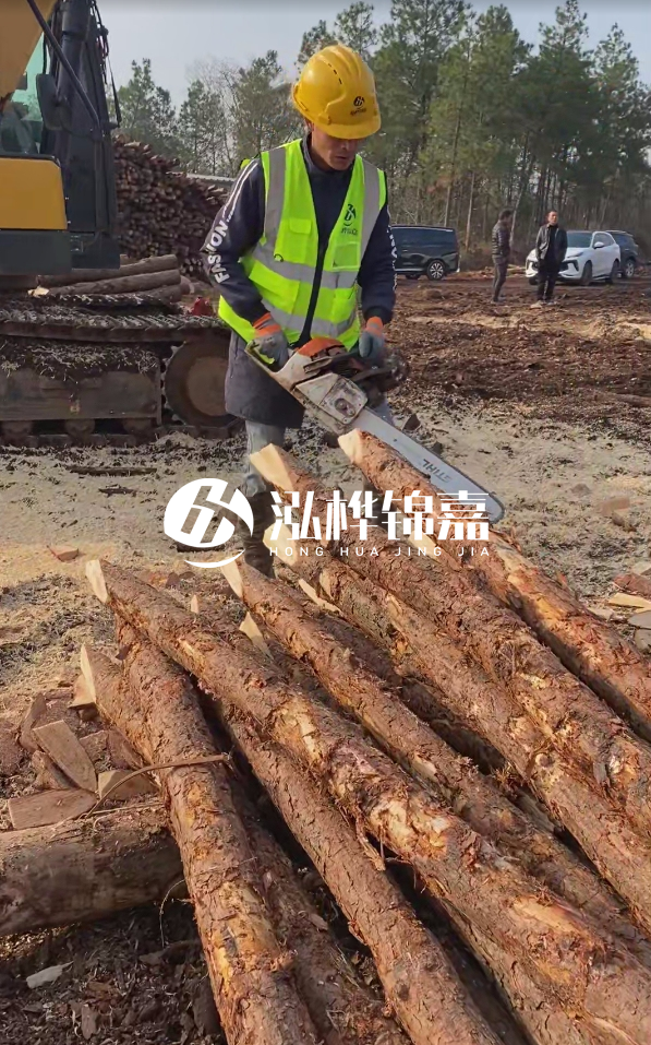 松木樁樁長1.5米稍徑12多少錢一根？樁長1.5米稍徑12大頭多少？