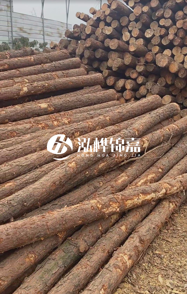 山西河道木樁護岸價格多少錢一米-每米河道打樁要花多少錢？