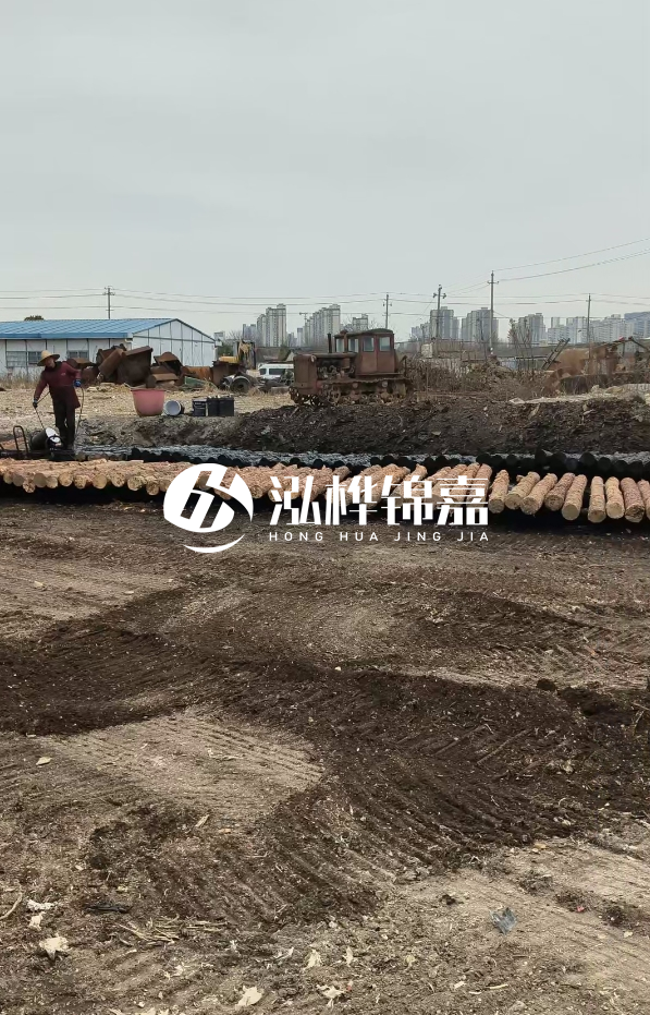 安徽打樁木材哪里買(mǎi)最好-5米直徑12杉木樁送到安徽多少錢(qián)？