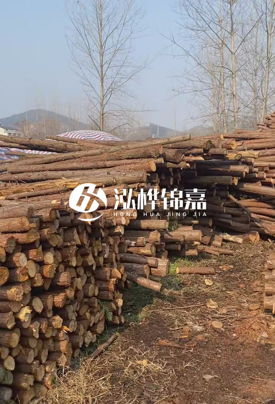 貴州打樁木材價格多少-打樁木材價格多少錢一立方？