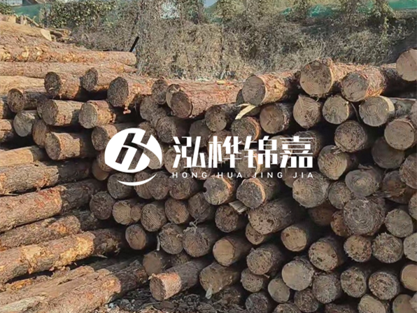 落葉松木材的主要產(chǎn)地在哪里？為什么比其他松木更耐腐蝕？