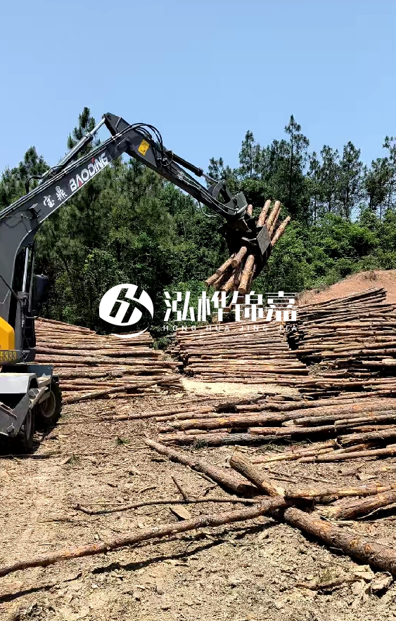 云南4米松木樁批發(fā)價格多少-4米小頭13-15直徑多少錢一根？