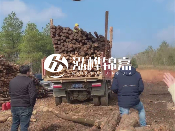 松木樁價格是按米算還是按根算？6米松木樁批發(fā)價每根多少錢？