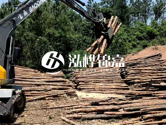 3米松木樁小頭10公分多少錢一根？大頭10公分又是多少錢？