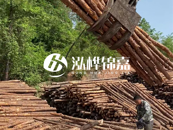 哪里能買到優(yōu)質(zhì) 3 米松木樁？長沙有松木樁批發(fā)工廠嗎？