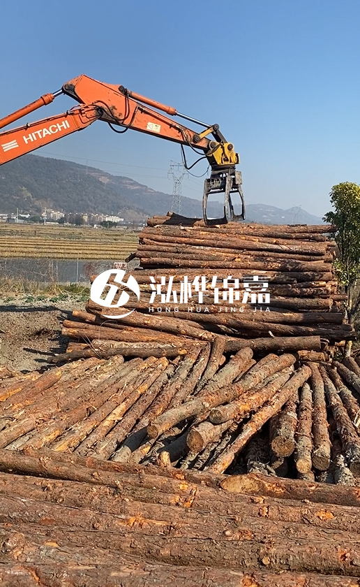 帶皮松木樁的防腐效果如何？和不帶皮松木樁價(jià)格差異有多大？