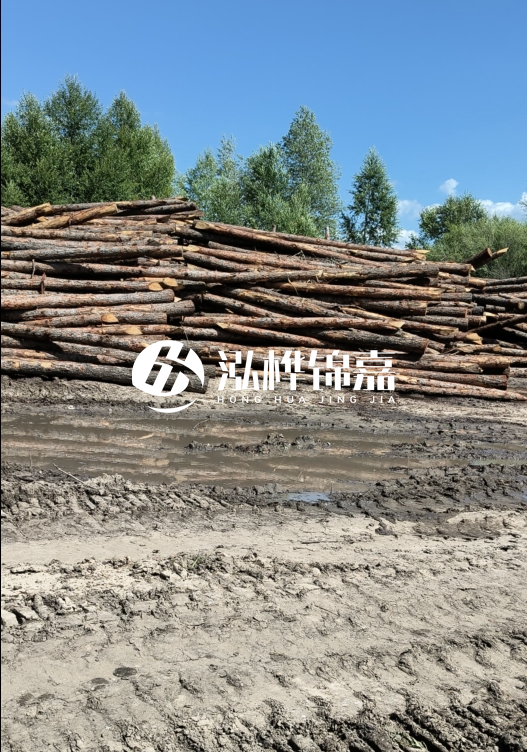 3米松木樁適合河道護(hù)坡嗎？小頭直徑8厘米的松木樁價(jià)格如何？