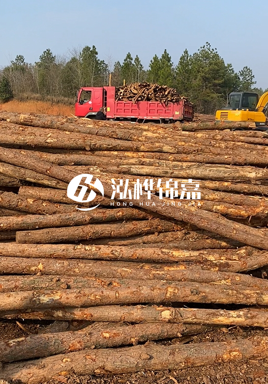 8米小頭11-13CM的松木樁價格是多少？打樁施工怎么算？