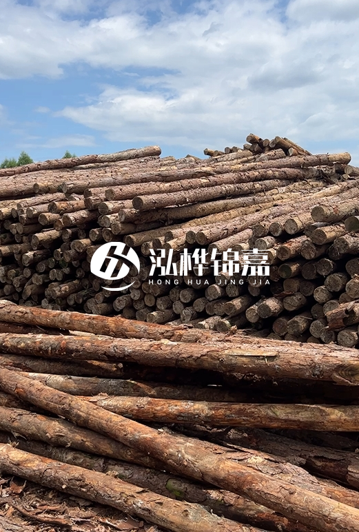 松木打樁木的價(jià)格波動(dòng)受哪些因素影響？杉木樁能代替松木樁嗎？