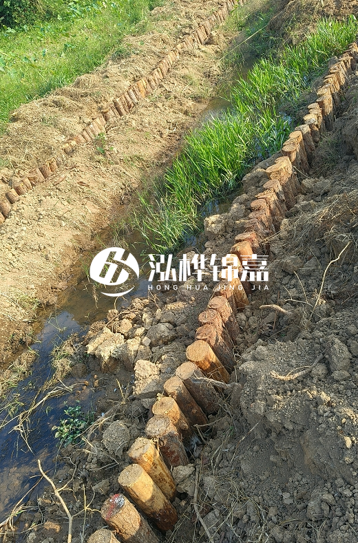 湖南松木樁批發(fā)廠家直銷-松木樁做碳化多少錢一根？