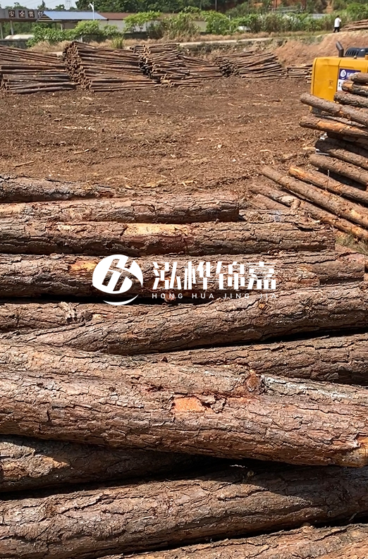 陜西河道木樁源頭廠家泓樺錦嘉-3米大頭11-13厘米多少錢一根？