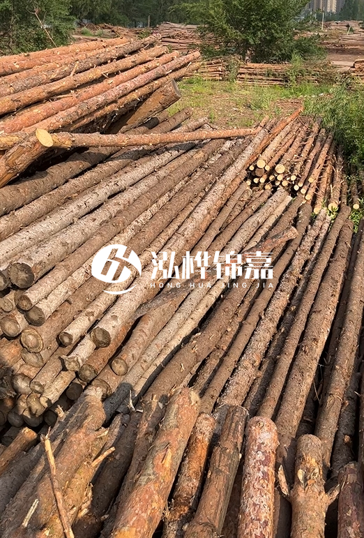 如何選擇合適的松木樁廠家？采購松木樁需要考慮的因素有哪些？