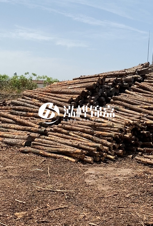 3.5米松木樁單價(jià)含稅怎么計(jì)算？碳化處理成本增加多少？